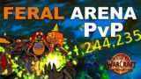 Feral Druid Arena PvP Review 11.0 (World of Warcraft: The War Within)