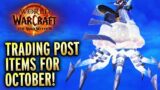 NEW Trading Post Items For October Plus HUGE Announcement! – World of Warcraft The War Within