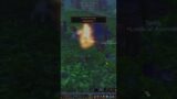 [World of Warcraft Classic] Don't Stand In The Fire #shorts