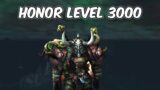 HONOR LEVEL 3000 – Arms Warrior PvP – WoW The War Within