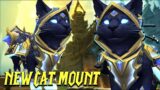 NEW CAT MOUNT Preview – WoW The War Within