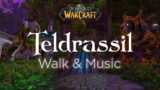 World of Warcraft | Walking through Teldrassil | Music and Ambience [4K | 60fps]