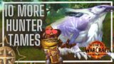 Another 10 Hunter Pets for ALL Specs | World of Warcraft 11.0.5+