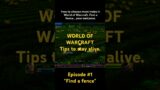 Discovering Forbidden World Of Warcraft Tricks: Ep1 – “locating The Fence” #worldofwarcrafttips