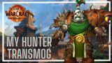 My Marksman Hunter Transmog | Viewer Requested Video! | World of Warcraft