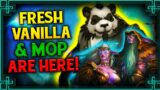 This Is The Future of Classic WoW… Fresh Vanilla MOP & Classic+?