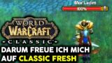 Worauf ich mich am meisten in Classic Fresh freue | World of Warcraft Classic