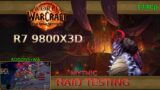 World Of Warcraft The War Within | Ryzen 7 9800X3D | Mythic Raid Testing | 1440p