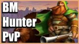 BM Hunter doing PVP (World of Warcraft – War Within)