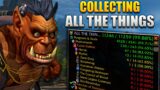 Collecting All The Things In World of Warcraft – Farming Mounts & Transmog