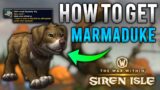 How To Get the NEW Pet MARMADUKE! | World Of Warcraft: The War Within Siren Isle Guide