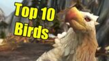 Pointless Top 10: Birds in World of Warcraft