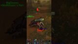 World of Warcraft lv50 hunter vs lv60 rogue Classic World PvP